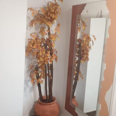 Apartamento Gloria Patricia 阿尔坎塔里利亚 外观 照片