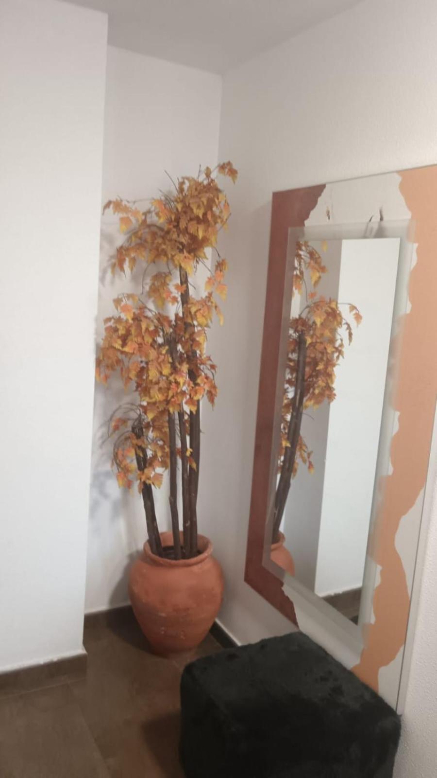 Apartamento Gloria Patricia 阿尔坎塔里利亚 外观 照片